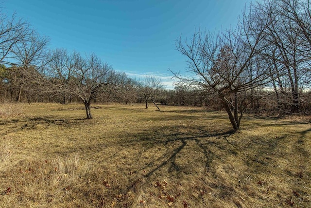 8325 S Avon Store Rd, Brodhead, WI 53520 - view of yard