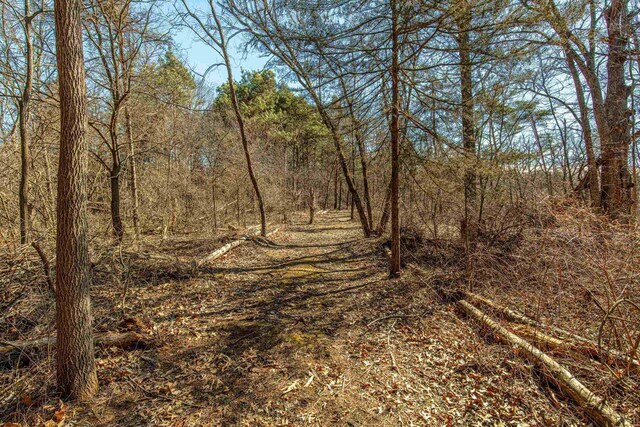 8325 S Avon Store Rd, Brodhead, WI 53520 - view of landscape