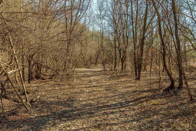 8325 S Avon Store Rd, Brodhead, WI 53520 - view of local wilderness