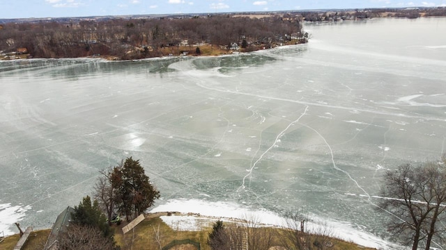 bird's eye view featuring a water view