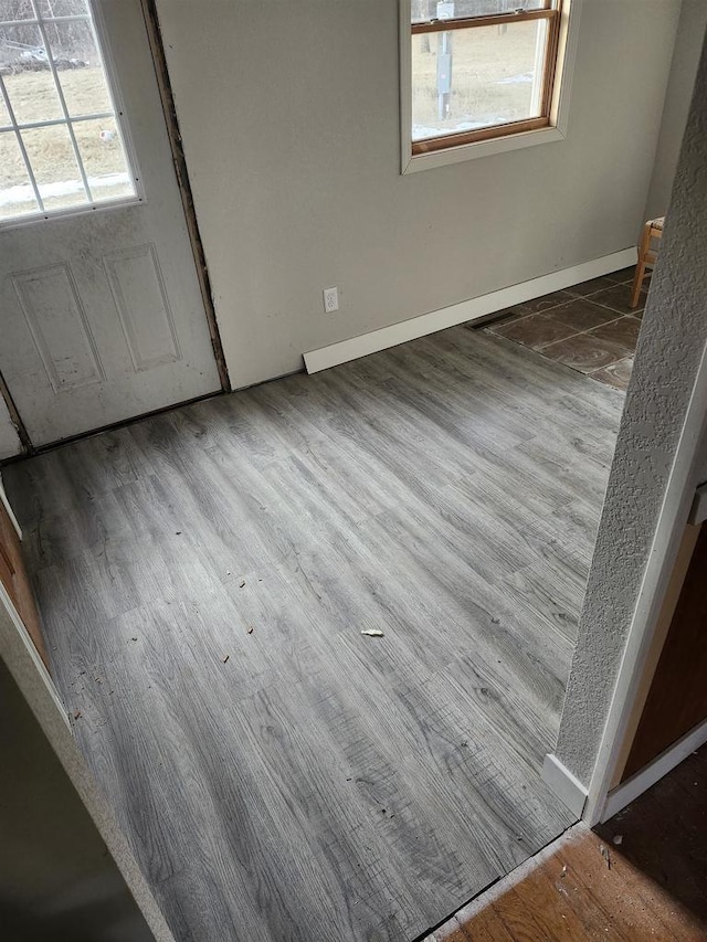 foyer with dark hardwood / wood-style flooring