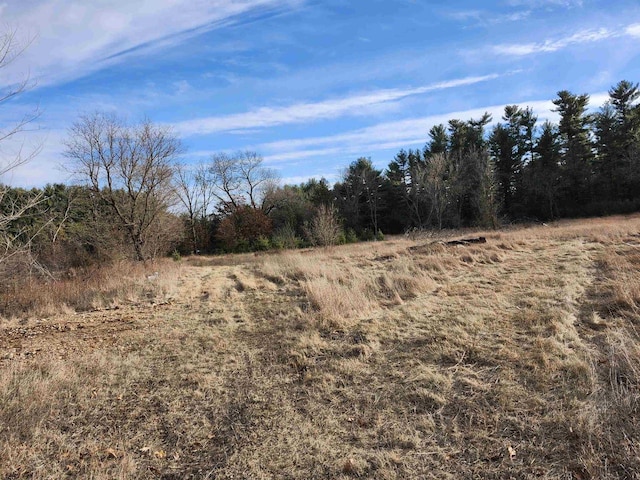 view of local wilderness