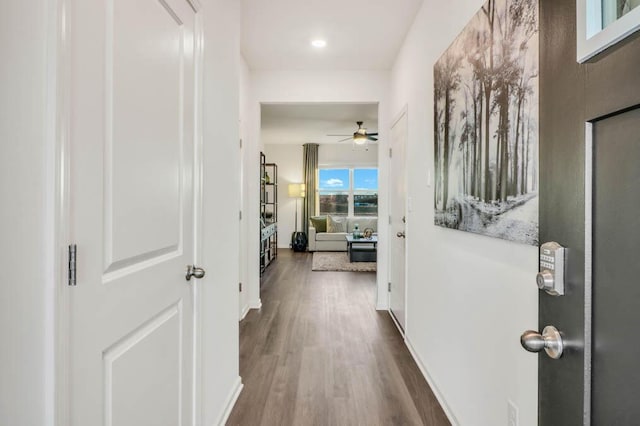 corridor featuring dark wood-type flooring