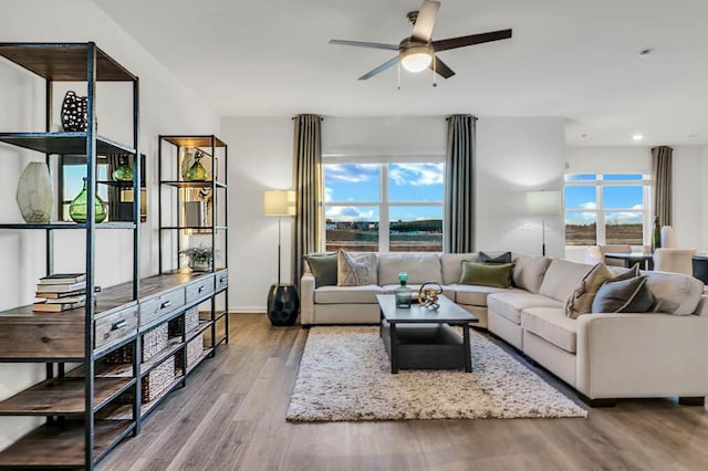 living room with ceiling fan, a wealth of natural light, and hardwood / wood-style flooring