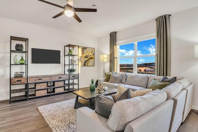 living room featuring ceiling fan and hardwood / wood-style floors