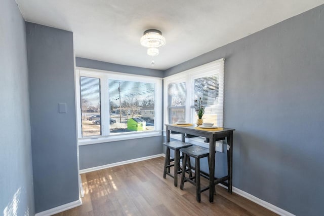 dining space featuring hardwood / wood-style flooring