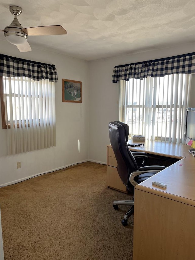 unfurnished office featuring carpet floors and plenty of natural light