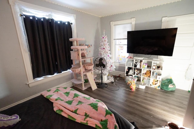 bedroom with wood-type flooring