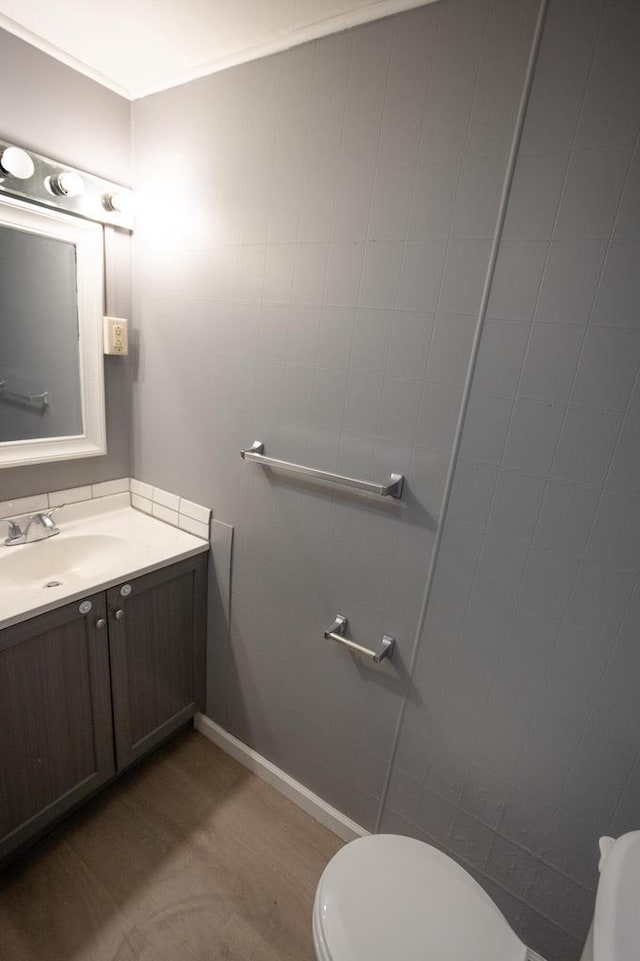 bathroom with toilet and vanity