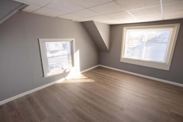 bonus room with a wealth of natural light and hardwood / wood-style flooring