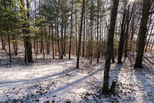 view of local wilderness