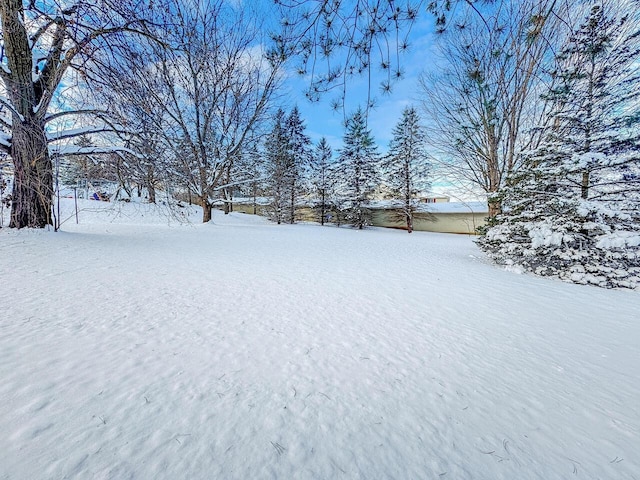 view of snowy yard