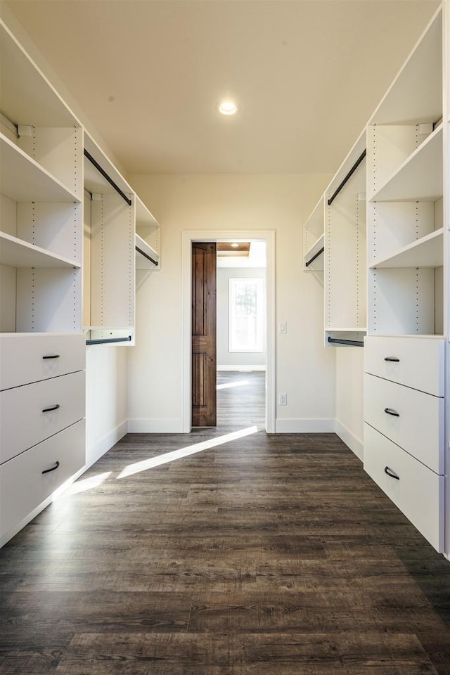 walk in closet featuring dark wood-style flooring