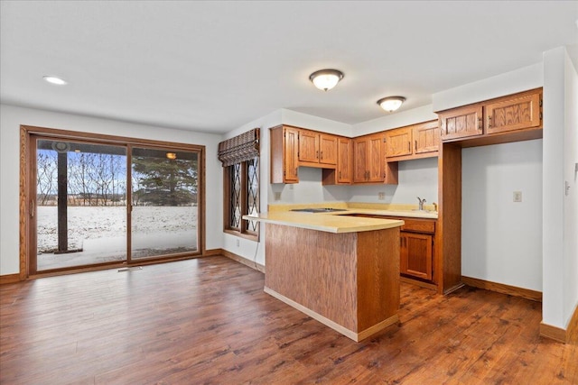 kitchen featuring sink, dark hardwood / wood-style floors, and black electric stovetop