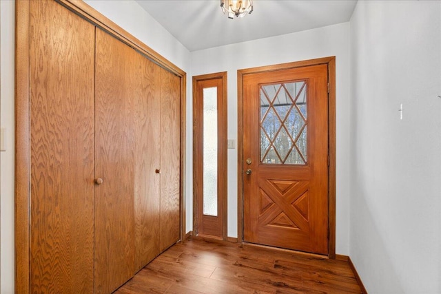 entrance foyer featuring a healthy amount of sunlight and hardwood / wood-style flooring