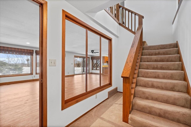 staircase with ceiling fan, carpet flooring, and a healthy amount of sunlight