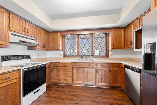 kitchen with appliances with stainless steel finishes, dark hardwood / wood-style flooring, a raised ceiling, and sink