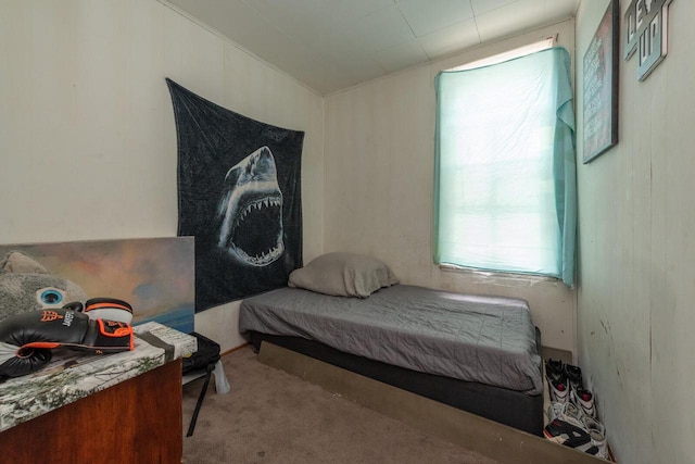 bedroom with light colored carpet