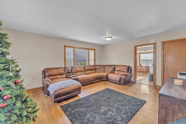 living room with hardwood / wood-style floors