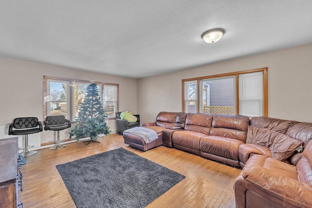 living room featuring hardwood / wood-style floors and a textured ceiling