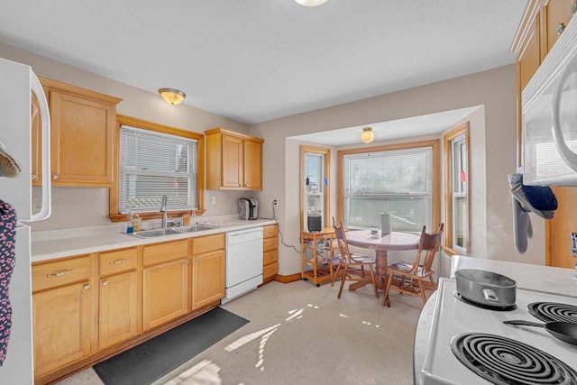 kitchen featuring light brown cabinets, sink, and white appliances