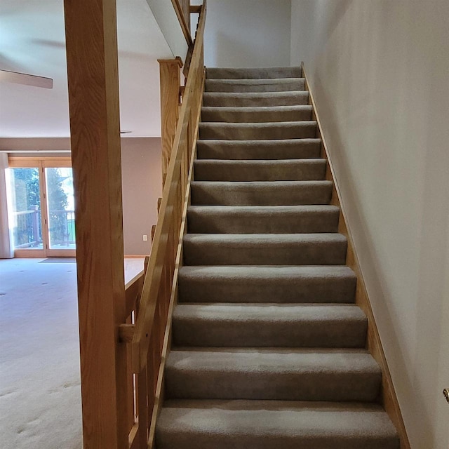 stairway featuring carpet floors