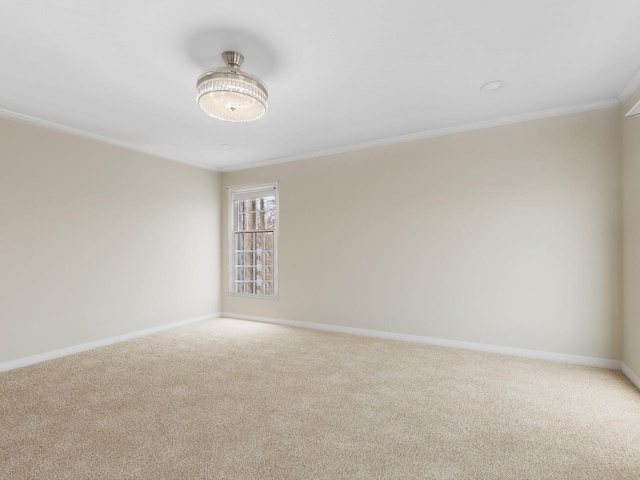 carpeted empty room with ornamental molding