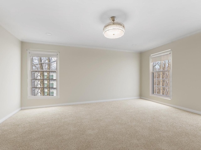 spare room featuring ornamental molding and carpet flooring