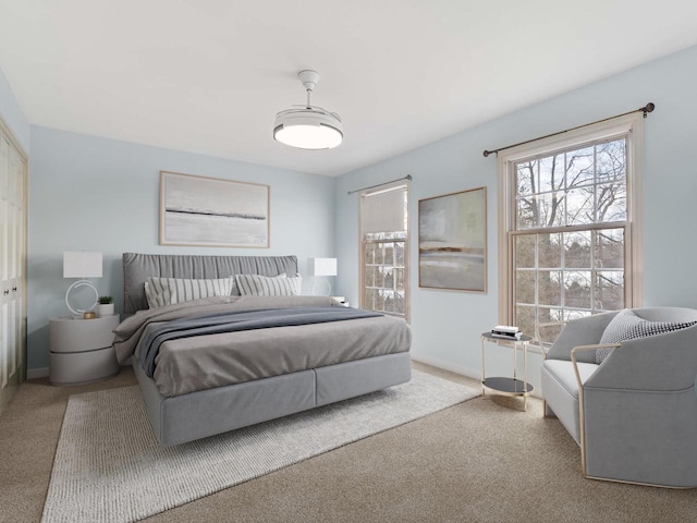 bedroom with a closet and carpet flooring