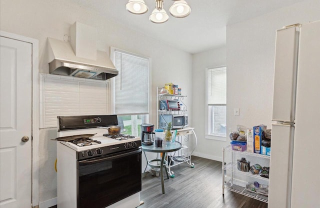 kitchen featuring premium range hood, plenty of natural light, white appliances, and hardwood / wood-style floors