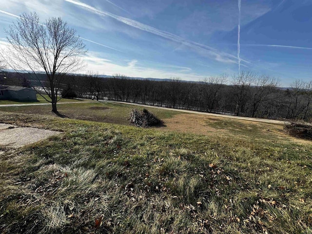 view of yard featuring a rural view