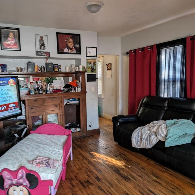 living room with dark wood-type flooring