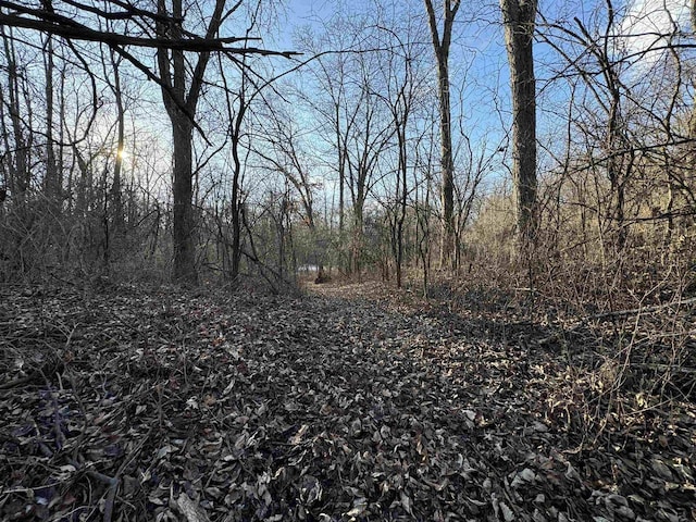 view of local wilderness