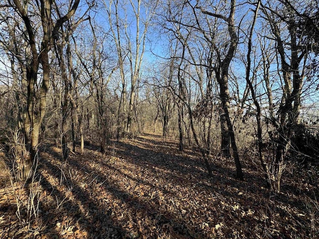 view of local wilderness