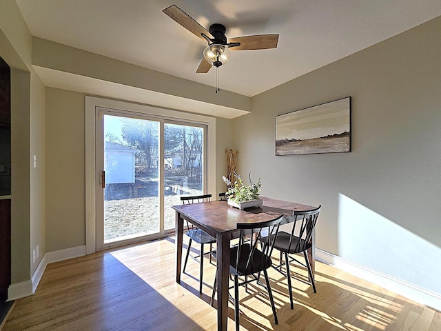 dining space with ceiling fan and light wood-type flooring