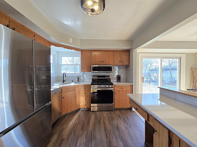 kitchen with tasteful backsplash, appliances with stainless steel finishes, sink, and dark hardwood / wood-style flooring