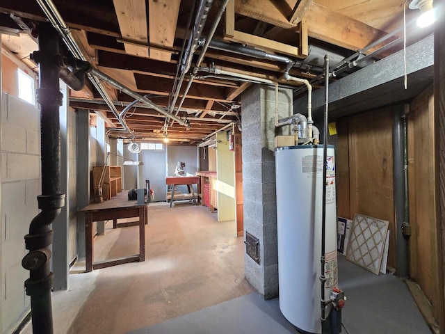 basement with gas water heater