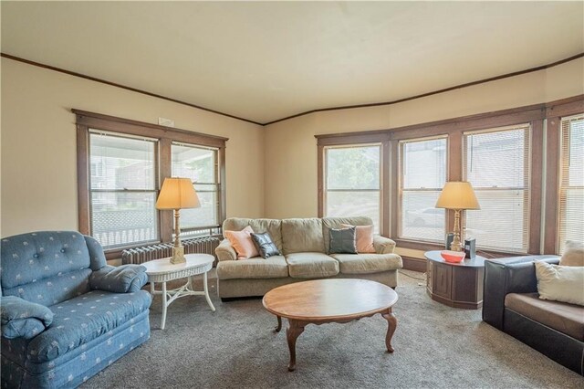 1010 S Farwell St, Eau Claire, WI 54701 - carpeted living room featuring a healthy amount of sunlight