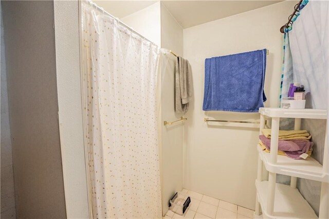 1010 S Farwell St, Eau Claire, WI 54701 - bathroom featuring tile patterned floors and a shower with curtain