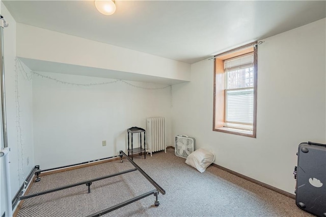 1010 S Farwell St, Eau Claire, WI 54701 - interior space featuring radiator and light carpet