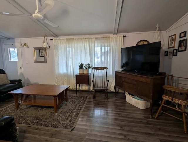 living room with ceiling fan, dark hardwood / wood-style flooring, and lofted ceiling