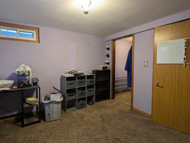 interior space featuring carpet floors