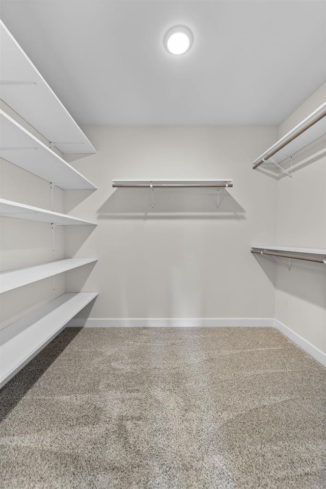 spacious closet with carpet