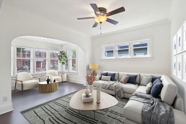 living room featuring ceiling fan and crown molding