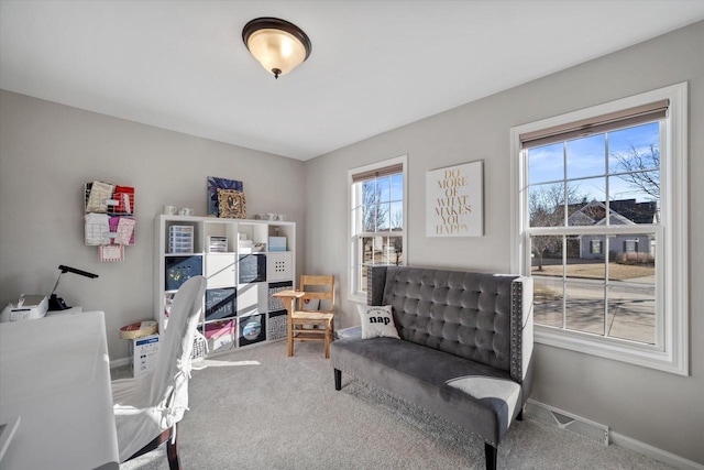 view of carpeted home office