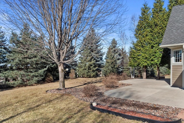 view of yard featuring a patio area