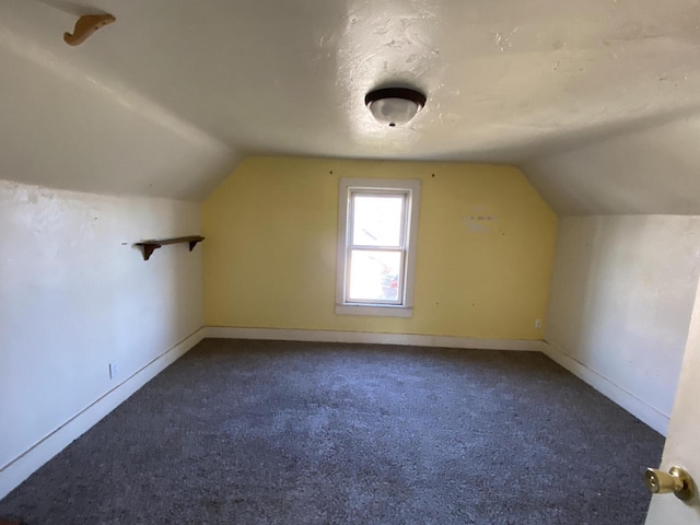 additional living space featuring carpet and lofted ceiling