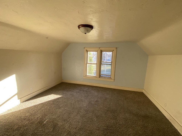 additional living space featuring vaulted ceiling and carpet floors