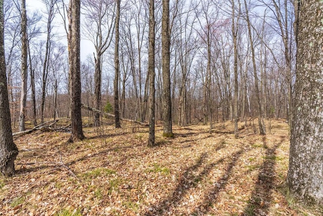 LOT11 Tarin Ln, Gleason WI, 54435 land for sale