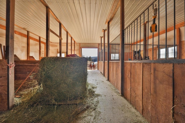 view of horse barn